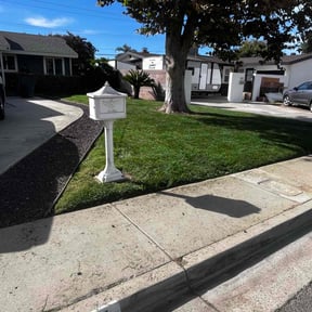 yard maintenance by Verde Lawn and Property Management reviewed on August 17, 2025