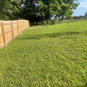 turf maintenance by Nicholas Garbooshian reviewed on August 15, 2025