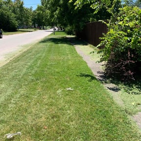 turf care by Sage Landcrafters reviewed on September 8, 2023