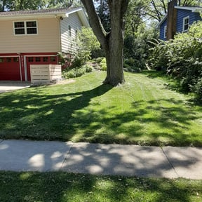 yard maintenance by Tropical Greenscape reviewed on October 16, 2024