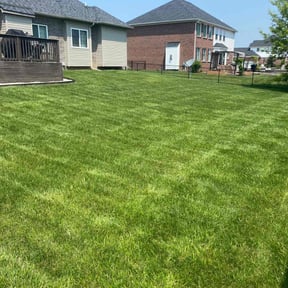 lawn maintenance by Sun's Lawn Care LLC. reviewed on August 16, 2025