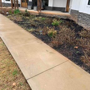 Flower Bed Weeding by Sunny Lillies and Joy LLC reviewed on March 9, 2026
