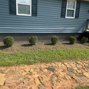 Bush Trimming by Maintenance  Unlimited reviewed on November 20, 2025