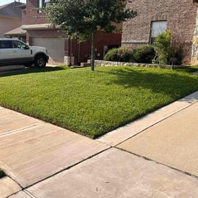 lawn care by Green Lawn care reviewed on October 12, 2023