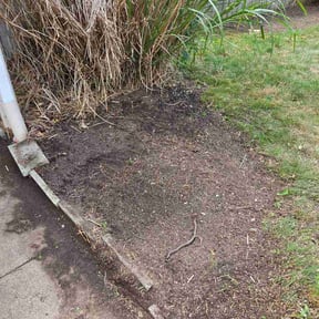 Flower Bed Weeding by DPR Land and Hardscape Design reviewed on July 6, 2026