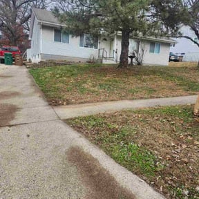 Leaf Removal by " BespokedServices" Robin Kieke reviewed on December 8, 2025