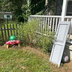 Bush Trimming by Local Green Lawn Care LLC reviewed on August 18, 2025