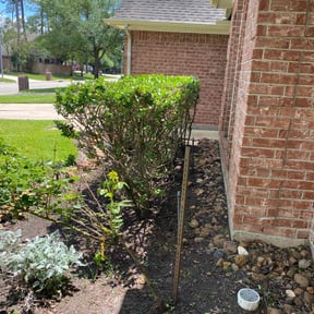 Bush Trimming by AC LAWNCARE reviewed on August 17, 2025