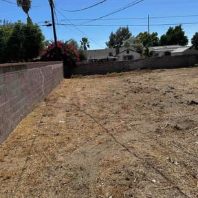 Leaf Removal by Watkins outdoors reviewed on August 16, 2026