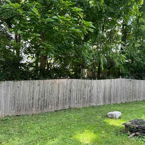 Bush Trimming by Haygood Cleaning, Painting &amp; Lawn Care LLC reviewed on August 31, 2026