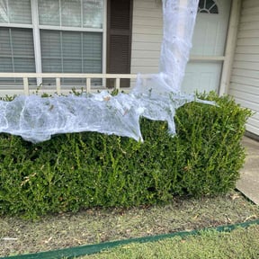 Bush Trimming by Lawnwan reviewed on November 19, 2025