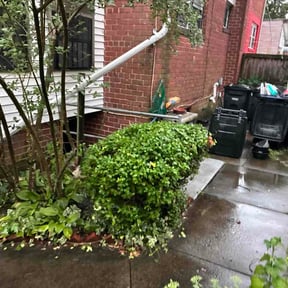 Bush Trimming by BEST Lawncare KC reviewed on August 14, 2026