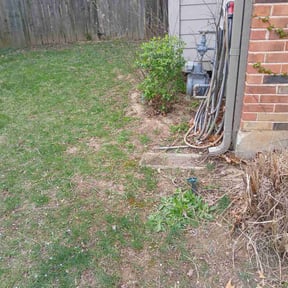 Bush Trimming by Splendid Grass Lawn Inc reviewed on November 25, 2025