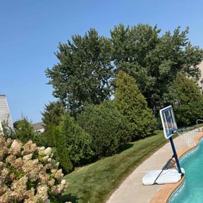 yard work by Handimen R Us reviewed on December 24, 2025