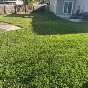 yard service by Royalty lawn care reviewed on November 22, 2025