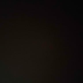 Bush Trimming by G&amp;M Landscaping Services reviewed on August 19, 2025