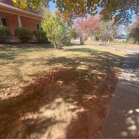 Leaf Removal by DBE Turf Solutions reviewed on August 15, 2025