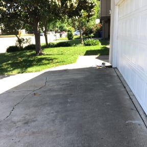 Flower Bed Weeding by Lawn helpers reviewed on August 20, 2025