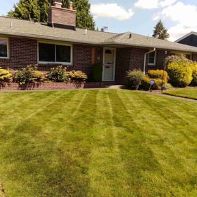 yard care by Lawn Cutting reviewed on November 20, 2025