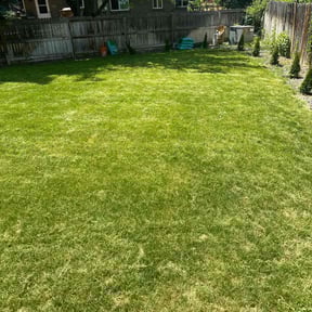 gardening service by Carlos One Stop Landscaping reviewed on August 17, 2025