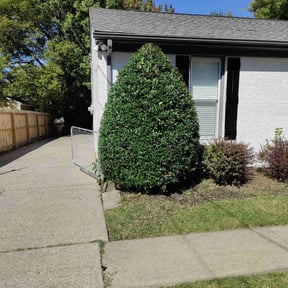 Bush Trimming by A Cut Above Lawn & Landscaping reviewed on August 16, 2025
