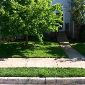 residential landscaping by Toro Verde Lawns reviewed on November 18, 2025