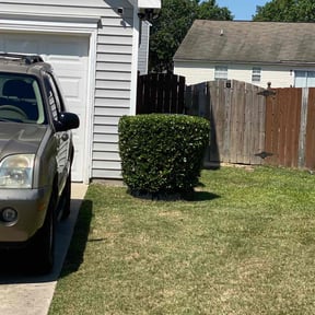 Bush Trimming by On The Spot Property Maintenance LLC reviewed on August 18, 2025