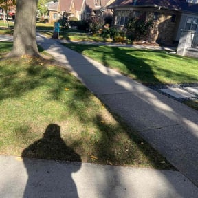 Leaf Removal by Land and Lawn Care reviewed on November 10, 2025