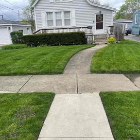 yard service by Boss Outdoor Service reviewed on August 15, 2025