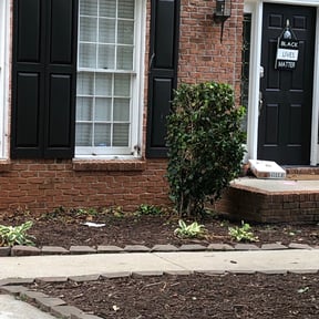 Bush Trimming by Self work reviewed on August 15, 2025