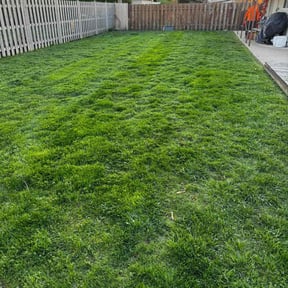 yard care by Hoffman Welding reviewed on August 18, 2025