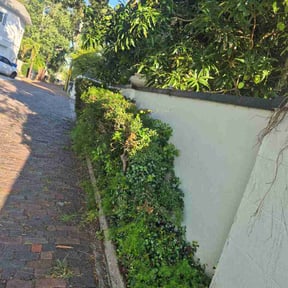 Bush Trimming by A - Z Mowing reviewed on June 14, 2026
