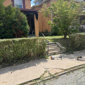 Bush Trimming by Keiths Landscaping reviewed on October 21, 2025