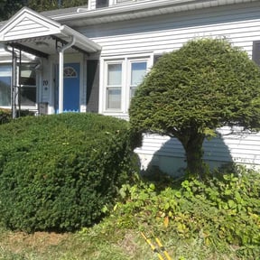 Bush Trimming by Howell Lawn &amp; Landscape reviewed on October 22, 2025