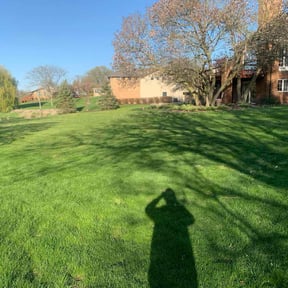 turf maintenance by Budget Cuts Lawn Care reviewed on July 3, 2022