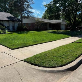 yard maintenance by Affordable Lawn Care reviewed on August 19, 2025