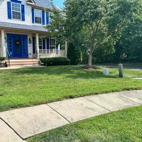 yard service by Quality Pro. Construction reviewed on December 17, 2025