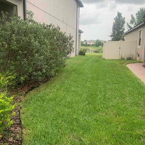 grass maintenance by Judson Auguste reviewed on August 9, 2023