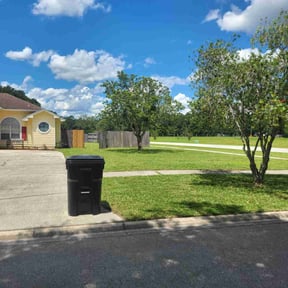 landscaping services by Mow N' Trims reviewed on August 17, 2025