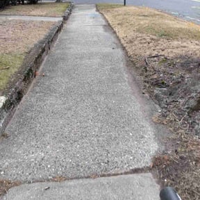 Leaf Removal by Eagles lawncare reviewed on August 19, 2026
