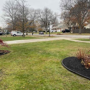 Leaf Removal by Can’t Stop Me Inc. reviewed on November 23, 2025