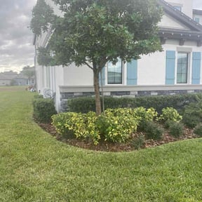 grass maintenance by Wilson &amp; Son Lawn Care reviewed on April 16, 2024