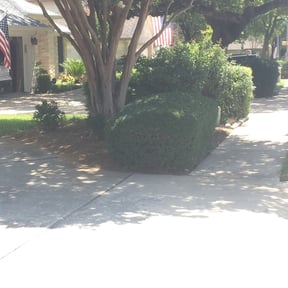 Bush Trimming by Lawn ninjas reviewed on December 1, 2025