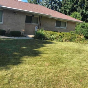 Bush Trimming by Gia Mobile Detailing reviewed on August 15, 2025