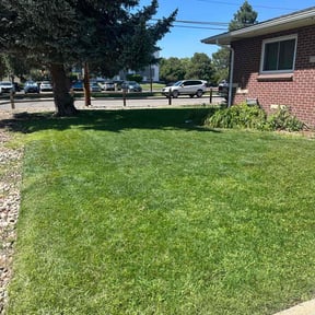 yard work by N/A reviewed on August 19, 2025