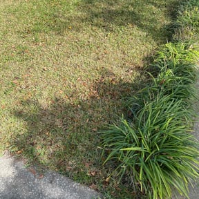 Leaf Removal by Lawn Time reviewed on December 13, 2025