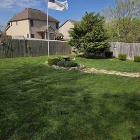 yard service by Tidy Trim reviewed on August 21, 2025
