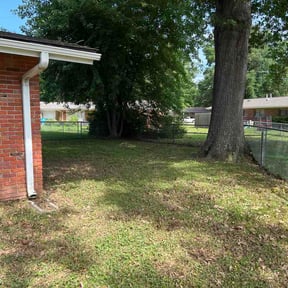 Leaf Removal by Adrian landscaping reviewed on July 12, 2026