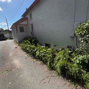 Flower Bed Weeding by M &amp; J lawn pro reviewed on June 13, 2026