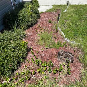 Flower Bed Weeding by Jeff mows  lawns reviewed on July 23, 2026
